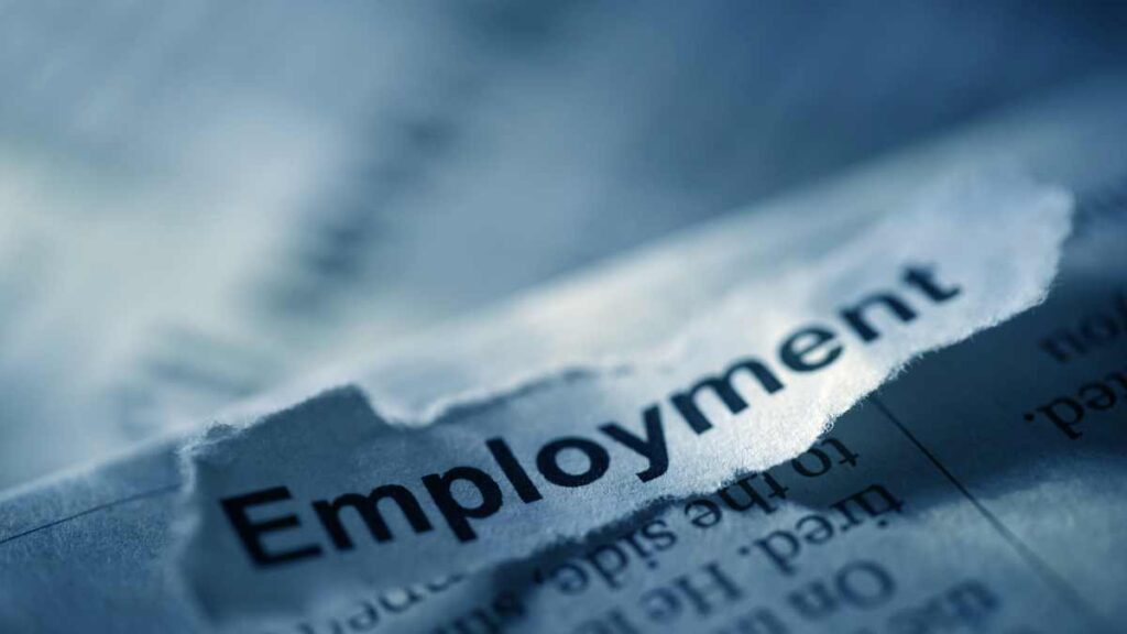 Effects of International Investments on Employment